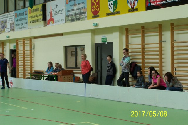 fin 3